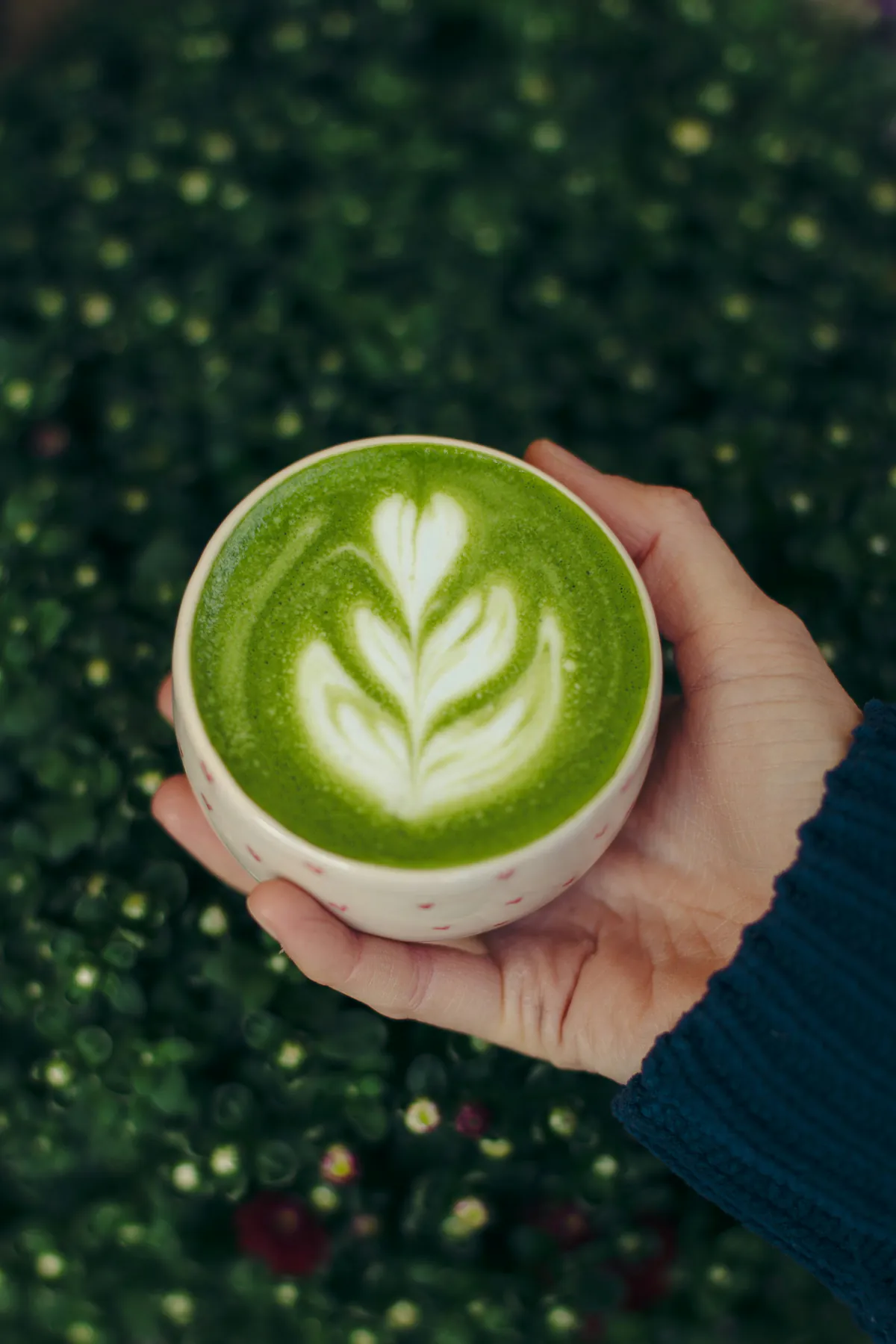 Una mano sostiene una taza de matcha latte con arte latte en forma de hoja, sobre un fondo de follaje oscuro